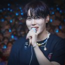 오늘의 강아지 이미지