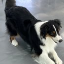 플레이 바우 이미지