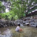 강당골캠핑파크 이미지