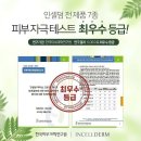 그린인셀덤