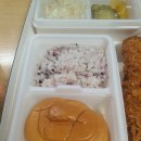 금화왕돈까스경산영대점 | 경산 영대 맛집 금화왕돈까스 경산영대점 배달 후기｜옛날 왕돈까스 제대로 먹은 날