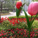 송현공원 이미지