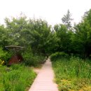 푸른수목원 이미지