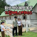 카페인24 화성기산점 | 아이들보다 더 재밌게 논 성인 4명이 갔던 화성 가볼만한곳 목장카페 드림아트스페이스