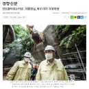 노무현 '모두 내 책임', 윤 정부 '내 탓 아니다'… 언론은? 이미지