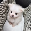 (주)투데이즈 이미지