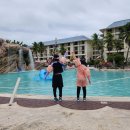 [북부] (야간)웰빙요가 | 사이판 가족여행 숙소 추천! PIC 리조트 이용 꿀팁 + 부대시설 비용 총정리