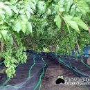 을해농장 이미지