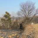 신양면 만사보건진료소 | 2018 타경 15300 .충청남도 예산군 신양면 만사리 답 경매