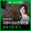 꼬마동물병원 | 중계 동물병원 고양이 갑상선 기능 항진증 치료 후기