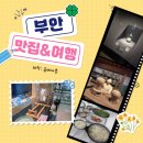 부안(청자 박물관&amp;할매피순대&amp;누에타운)
