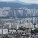 성신부동산