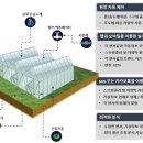 태양팜 네이버블로그