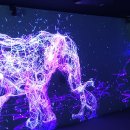 디지털아트
