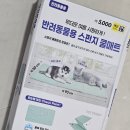 다이소추천템 쿨매트, 강아지 스펀지·겔타입 쿨매트 후기