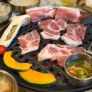 돈백꽃본점 | 🐷🌺 제주도민의 <돈백꽃 서귀포점> 내돈내산 후기(추천) + 제주약수터본점