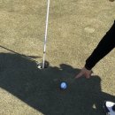 숲에그린골프클럽 | 겨울 명문 라운딩 추천｜가평베네스트골프클럽 메이플 파인 코스 공략 &amp; 필드후기 총정리 (초보도 만족)