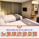 황금박쥐 PC | 동해 호텔, 뉴동해관광호텔 버스터미널 도보 1분 숙소 추천