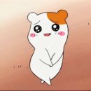 (주)다가본