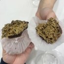 샐러리아 경북도청점 | [공지] 맛집] 경북도청 두쫀쿠 샐러리아 내돈내산 후기🧆