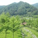 별천지공원 이미지