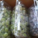 늘푸른청과 이미지