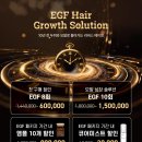 펠리아 네이버블로그