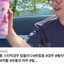 한동훈 어깨 탈골 이미지