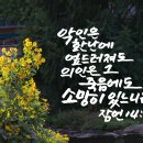 예수소망교회쉼터