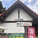 일본 동경과 쿠사츠 온천 여행기 이미지