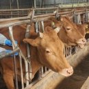 해남동물나라 이미지