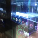 팀노래연습장 이미지