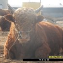 안심농장 이미지