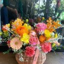 보나르떼 (BON ARTE) 디자인