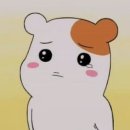 라이브 휘트니스 이미지