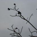 한이농장 이미지