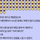 W스타일베이커리