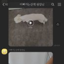 이뻐지는산책 이미지