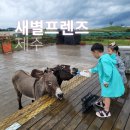 새별농장 | 제주 애월 동물원 새별 프렌즈 농장 체험 비 오는 날 다녀온 후기