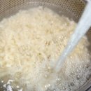 농심가정육점 | 배홍동 칼빔면 육회 꿀조합 추천 + 배홍동으로 정착하자! 경품 이벤트 안내