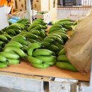 일건농장 이미지