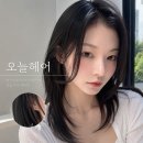 뷰티헤어맑음 | 부산대미용실 오늘헤어, 레이어드컷부터 허쉬컷·C컬펌까지 머리 잘하는 곳