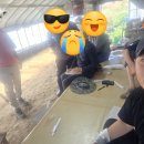 이장배농장 | 파파팜 농장일지 8탄 — 성토하다 트랙터로 길 막힌 썰 ㅋㅋㅋ 결국 1,000만 원 공탁금 걸고 눈물의...
