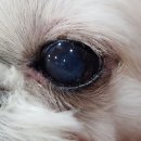 벤지동물병원 이미지