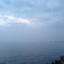 미송정 - 남구 | 미송정