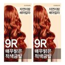 자연이랑 이미지