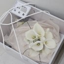 헤미쉬 | 드디어 결혼 끝! 💍 까사디루체 본식 후기/ 어두운 홀 실크드레스 헤미쉬 로지 후기 👰🏻‍♀️