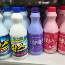 상원식품 | 다이소 향락스 일반 락스 비교 차이점은? 1리터 1000원 가성비 제품