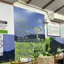 부산 온천장 만서리이가네막국수, 메밀싹 수육과 비빔막국수 현지인 맛집 내돈내산 솔직후기