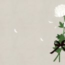 DS1RQJ김용남국장님 부친상. 이미지